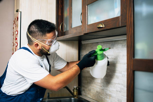 Best Bed Bug Extermination  in Melrose Park, IL
