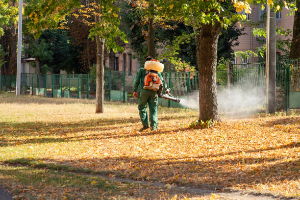 Best Pest Prevention Services  in Melrose Park, IL